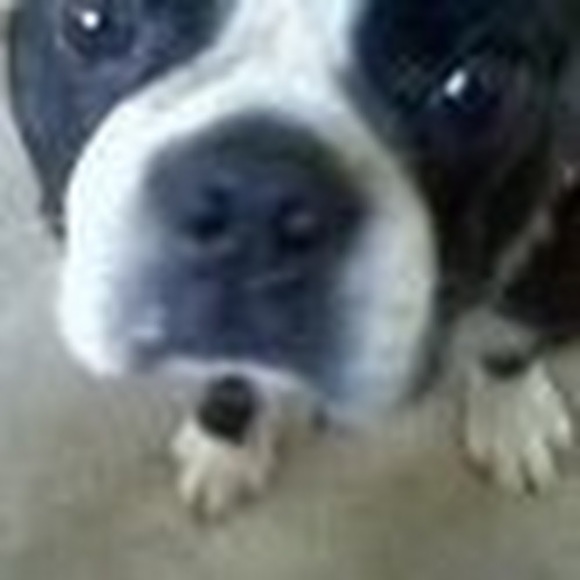 Meet your Posher, Jenna - Picture 1 of 1